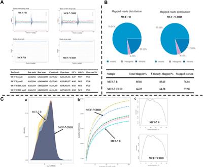 Identification of potential target genes of breast cancer in response to Chidamide treatment